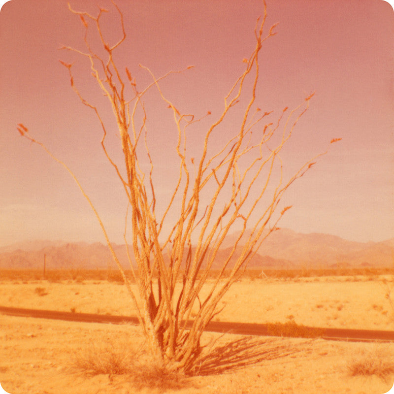 Bright gold and pink hued vintage photograph of a desert landsape