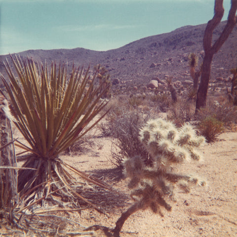 Colorful vintage photograph of a desert landscape