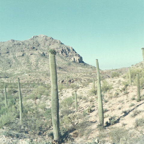 Vintage 70's photograph of a green and turquoise desert landscape