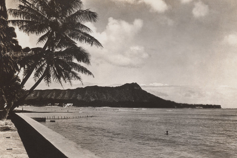 Black and white vintage photograph of a tropical Hawaii island with palm trees, ocean and a mountain in the background