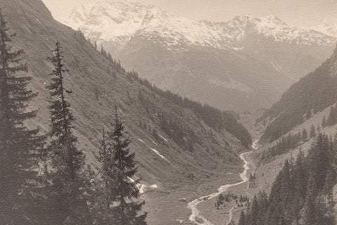 Sepia toned vintage photograph of a beautiful mountainside with trees and a river running through a valley