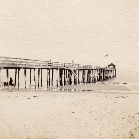 The Boardwalk